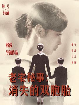 老宅秘事消失的双胞胎